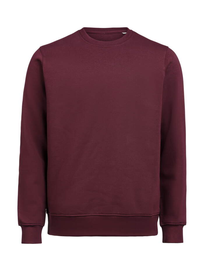 UM Crewneck Regular Fit - Image 10
