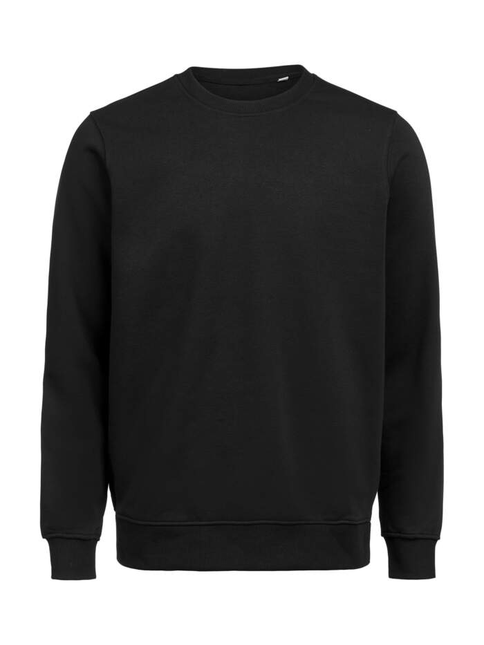 UM Crewneck Regular Fit - Image 3