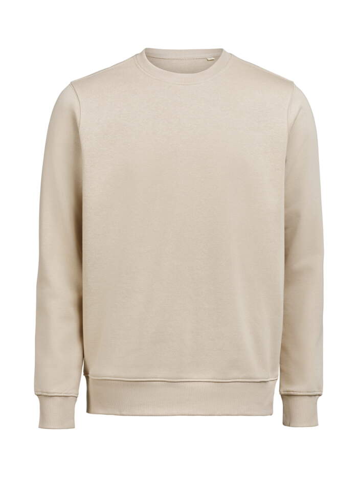UM Crewneck Regular Fit - Image 13
