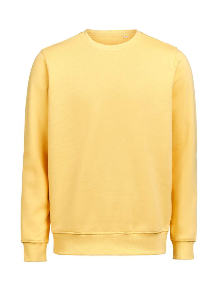 UM Crewneck Regular Fit - Image 12