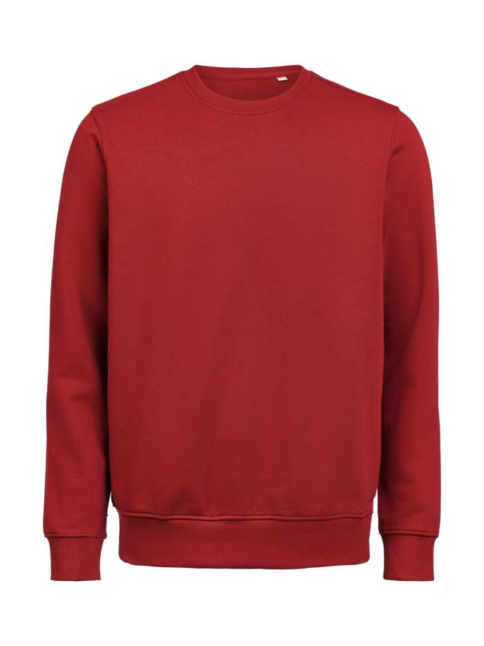 UM Crewneck Regular Fit - Image 11