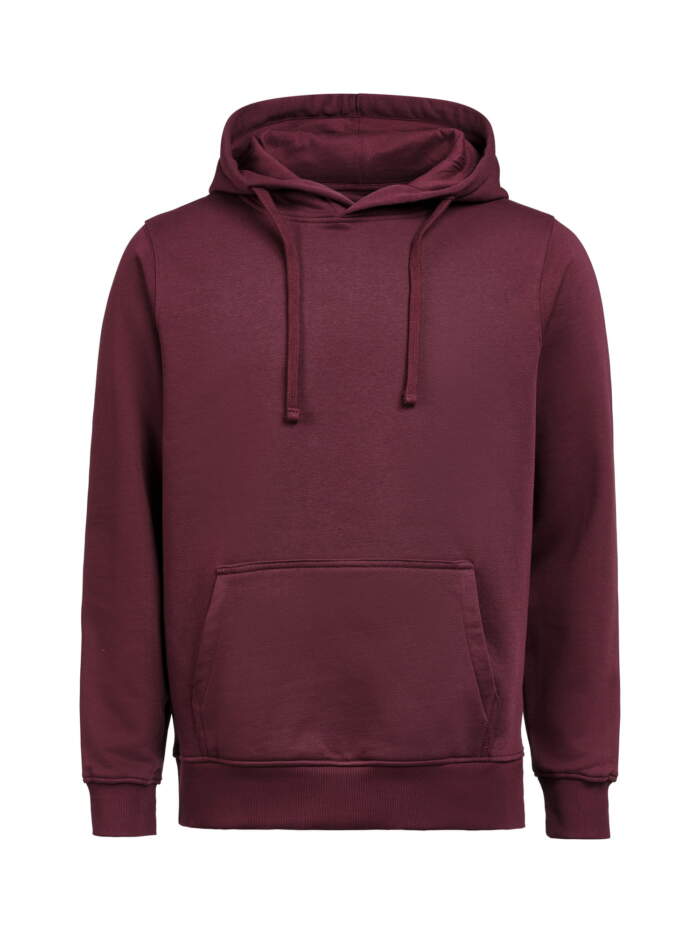 UM Hoodie Regular Fit - Image 10