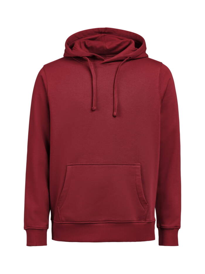UM Hoodie Regular Fit - Image 11